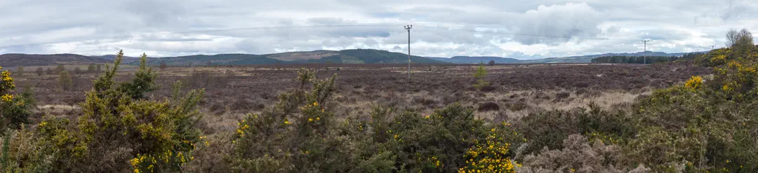 /img/ScotLand_GreatGlenWay_Day2/ScottLand-252.png