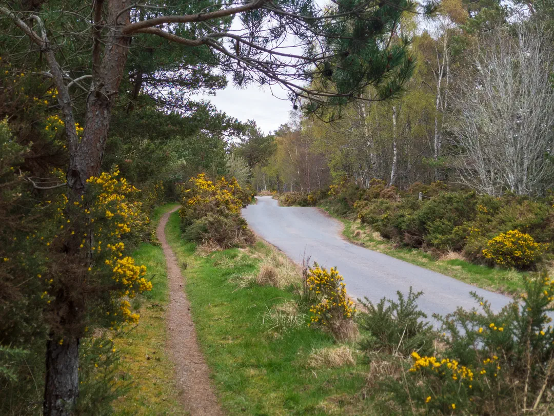 /img/ScotLand_GreatGlenWay_Day2/ScottLand-253.png