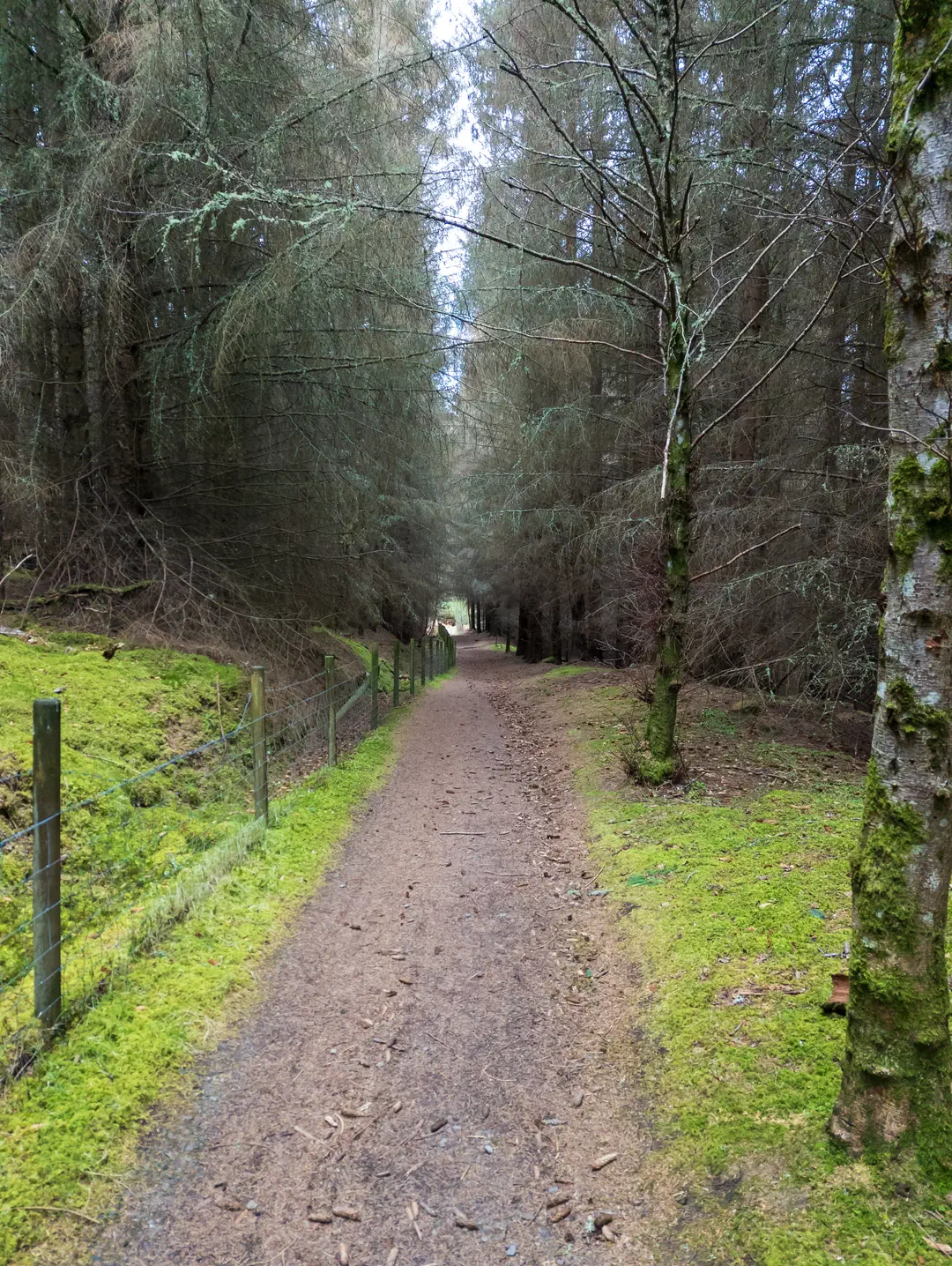 /img/ScotLand_GreatGlenWay_Day2/ScottLand-255.png