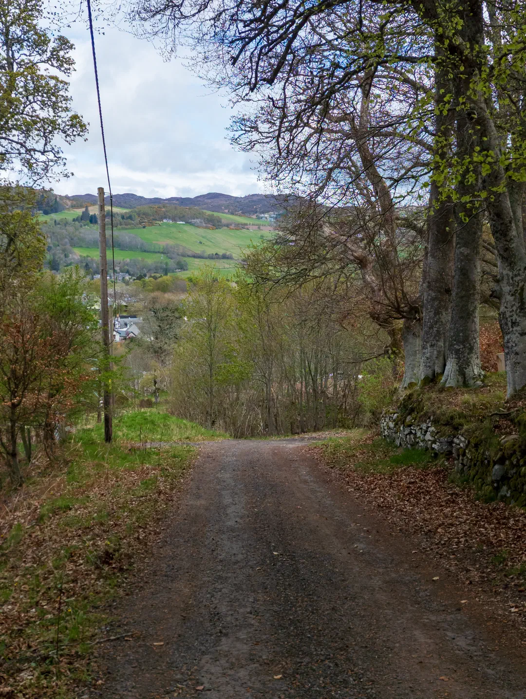 /img/ScotLand_GreatGlenWay_Day2/ScottLand-257.png