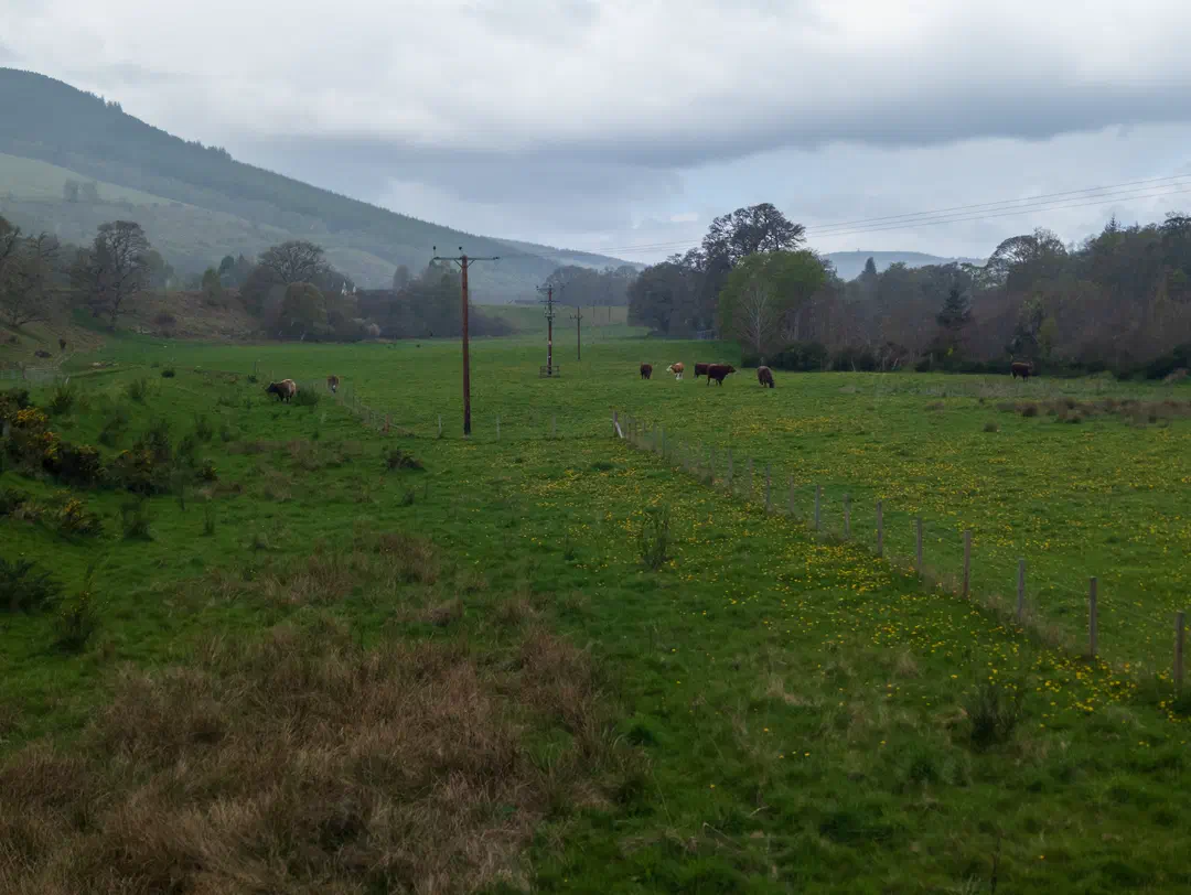 /img/ScotLand_GreatGlenWay_Day2/ScottLand-260.png