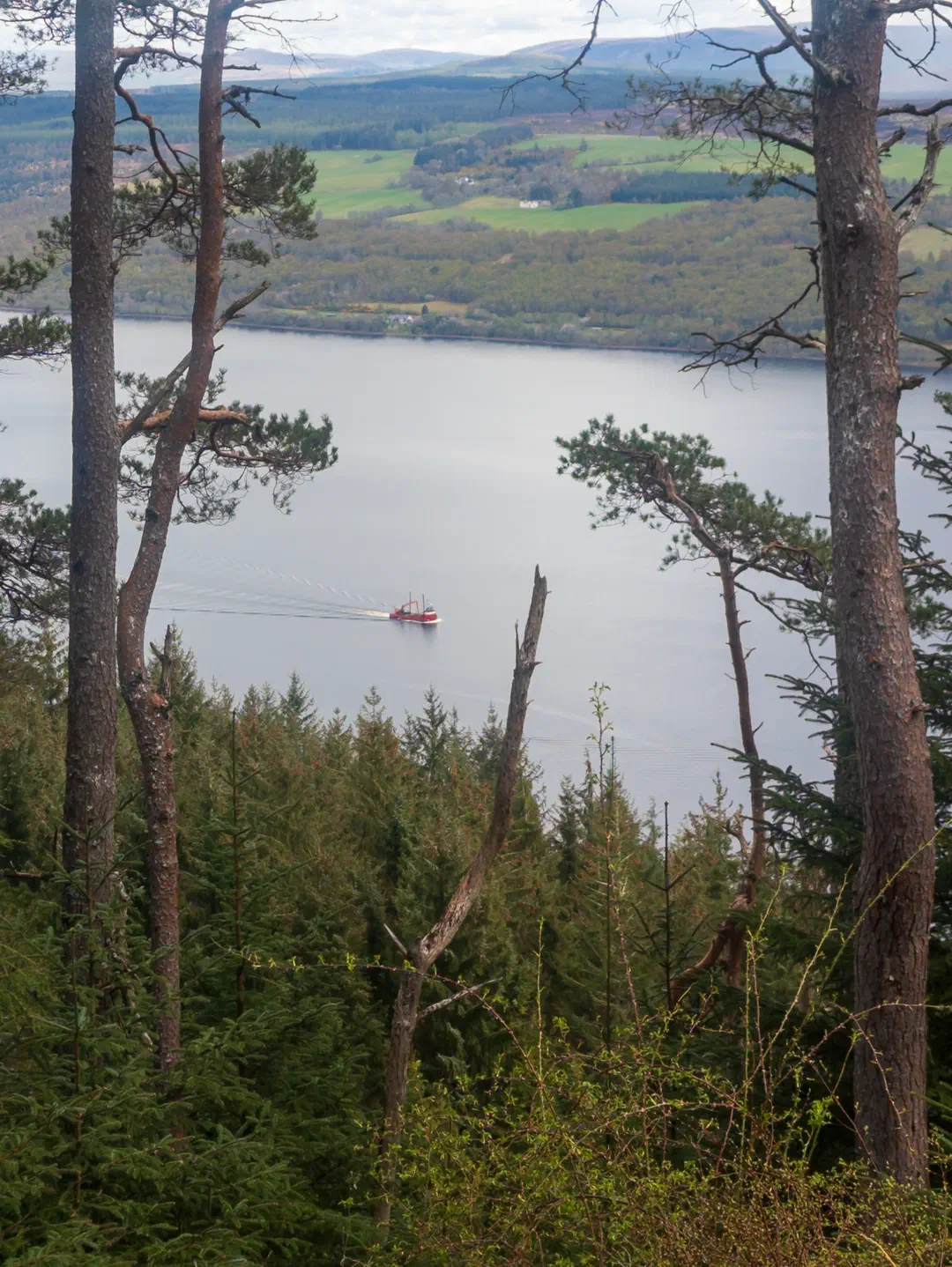 /img/ScotLand_GreatGlenWay_Day2/ScottLand-265.png