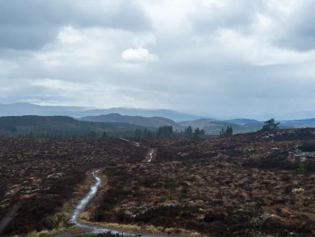 /img/ScotLand_GreatGlenWay_Day2/ScottLand-270.png