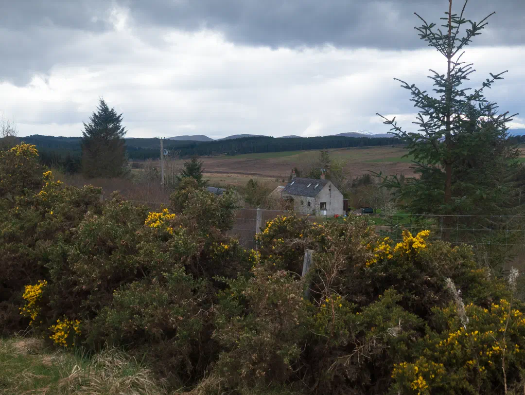 /img/ScotLand_GreatGlenWay_Day2/ScottLand-277.png