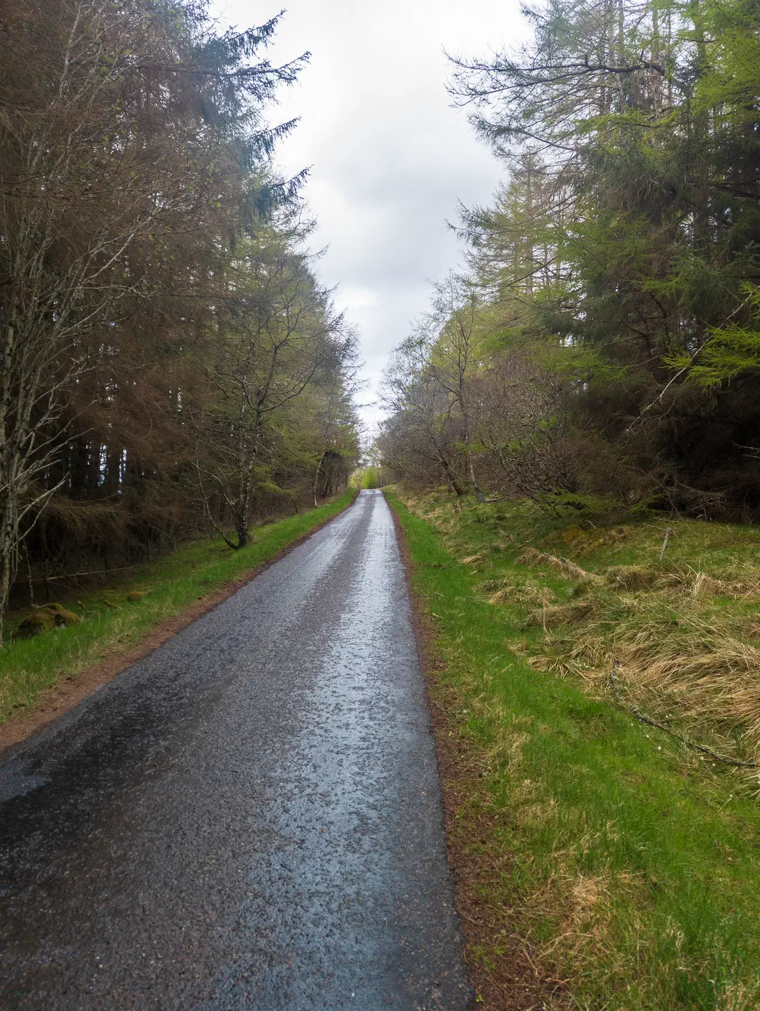 /img/ScotLand_GreatGlenWay_Day2/ScottLand-280.png