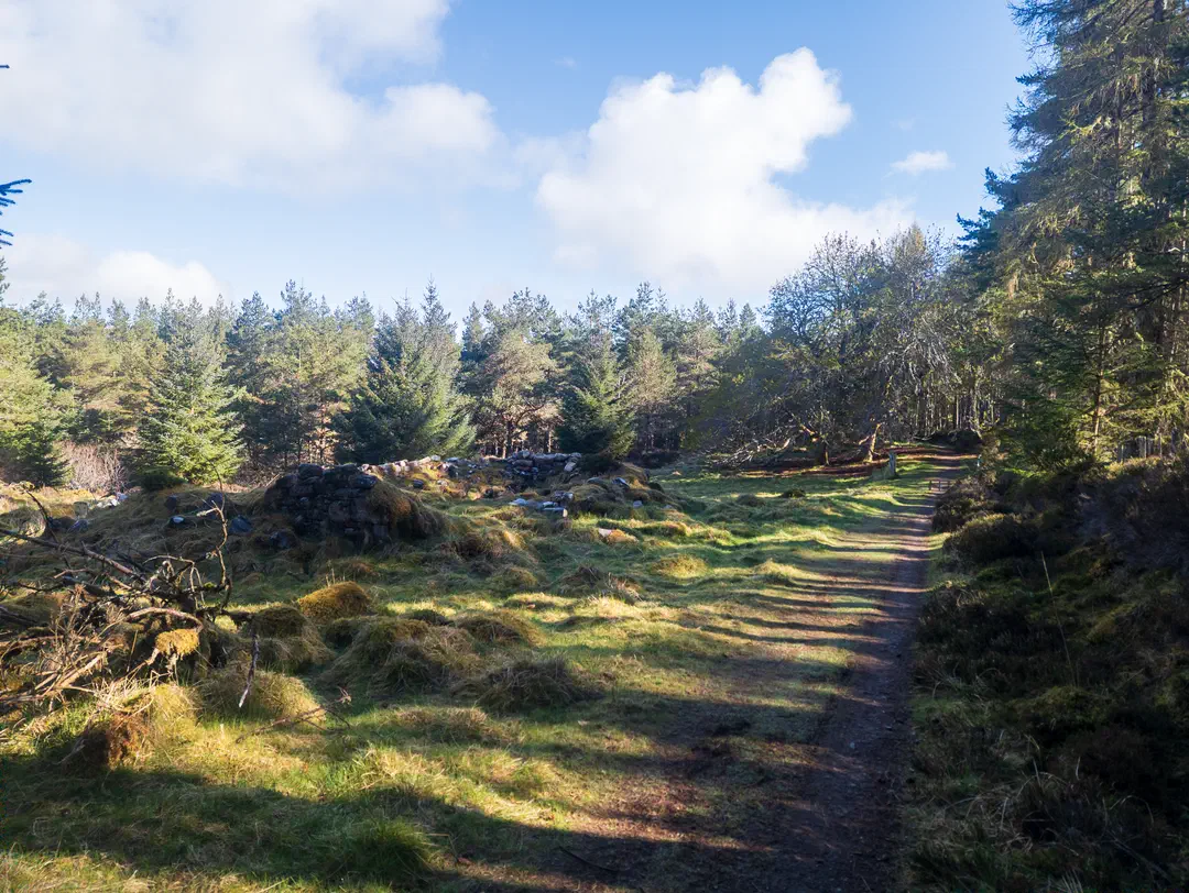 /img/ScotLand_GreatGlenWay_Day3/ScottLand-289.png