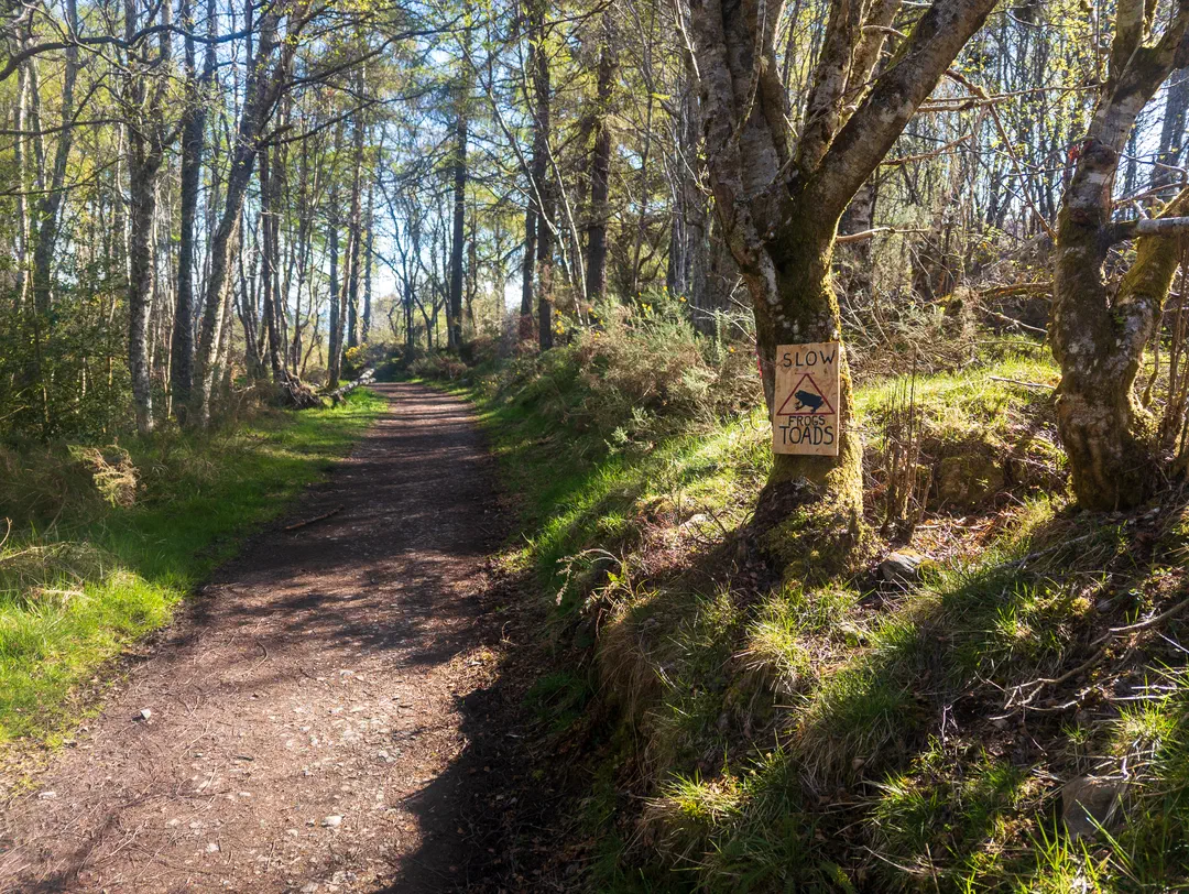 /img/ScotLand_GreatGlenWay_Day3/ScottLand-290.png