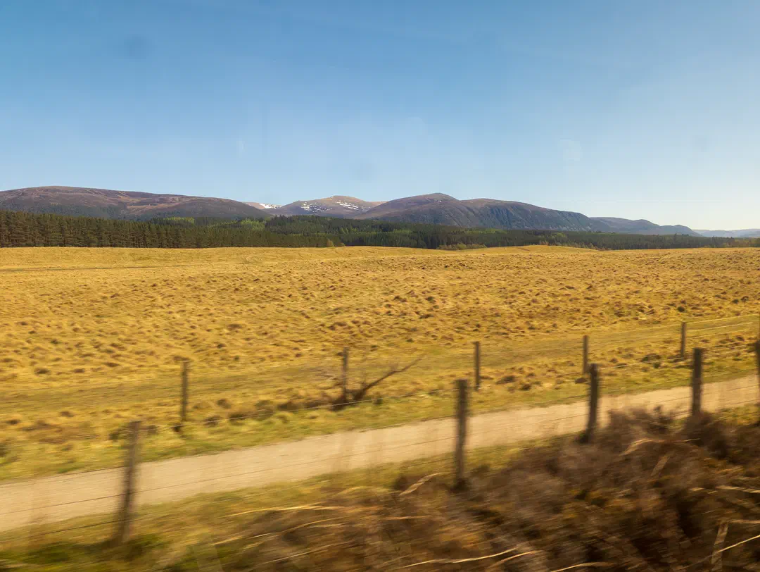 /img/ScotLand_Train_to_Edinburgh/ScottLand-338.png