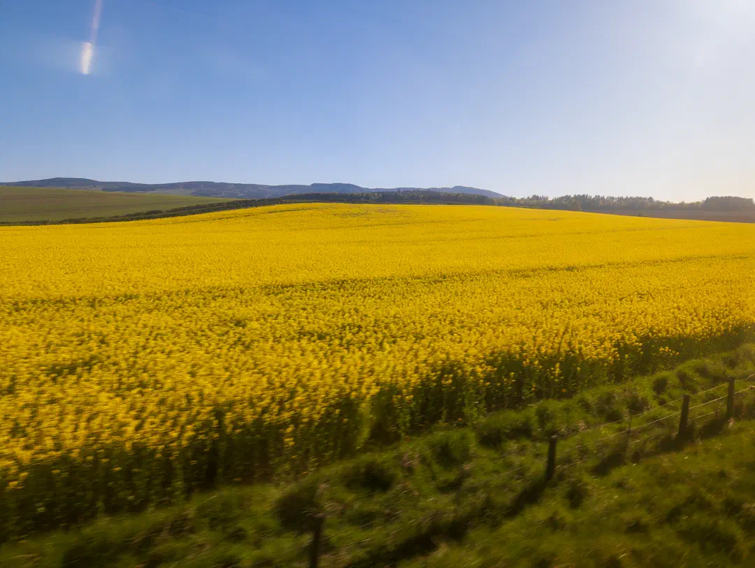 /img/ScotLand_Train_to_Edinburgh/ScottLand-344.png