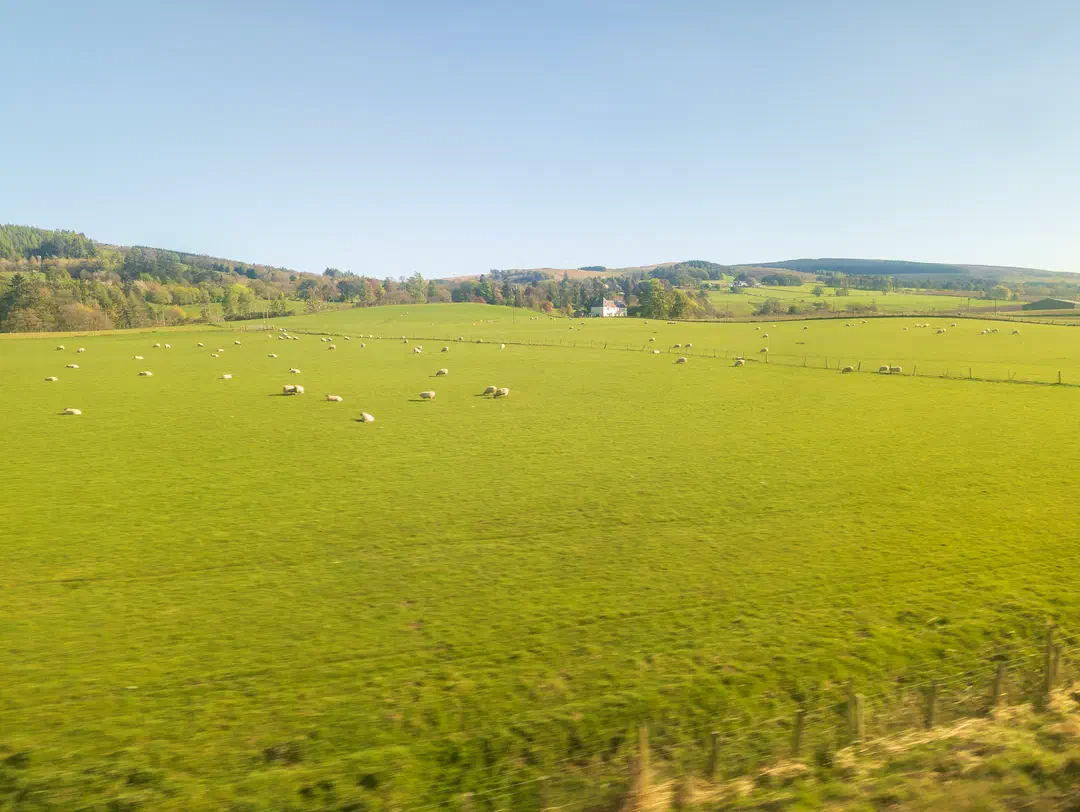 /img/ScotLand_Train_to_Edinburgh/ScottLand-346.png