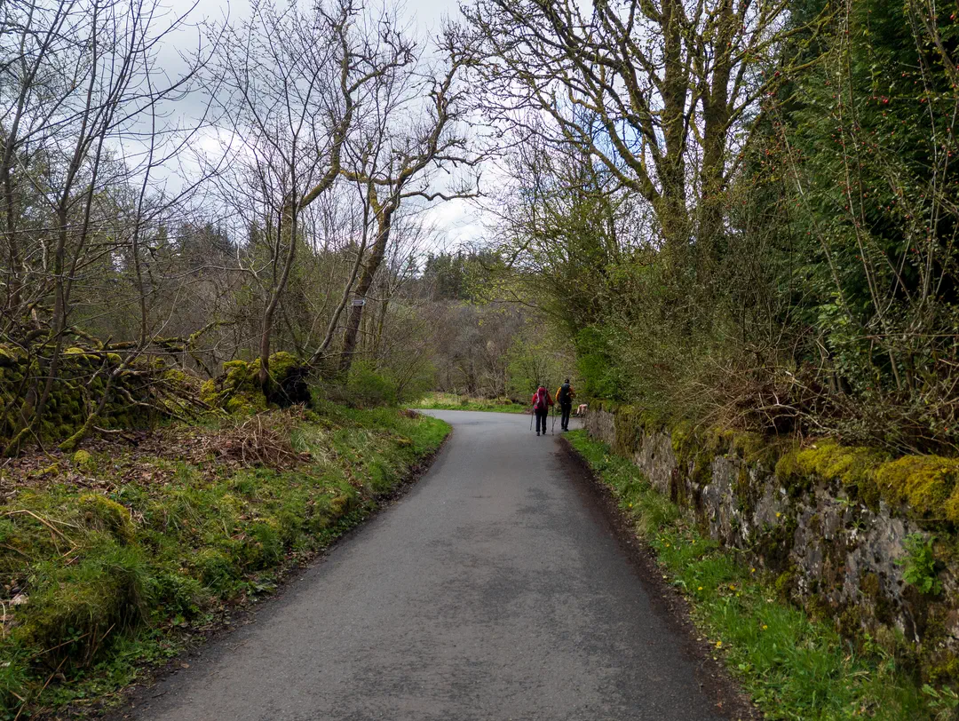 /img/ScotLand_WestHighLandWay_day1/ScottLand-23.png