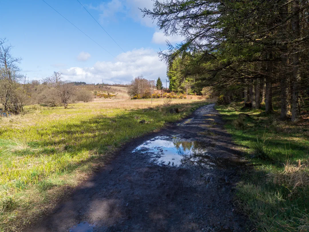 /img/ScotLand_WestHighLandWay_day1/ScottLand-26.png
