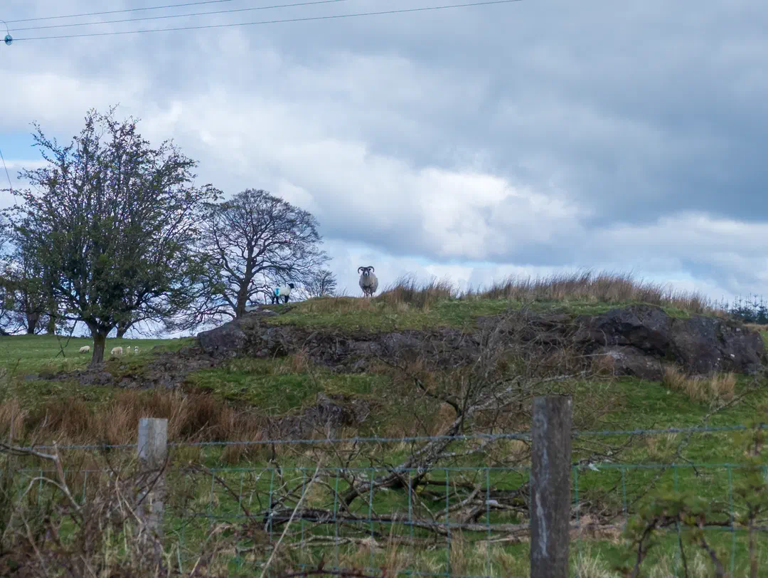 /img/ScotLand_WestHighLandWay_day1/ScottLand-32.png