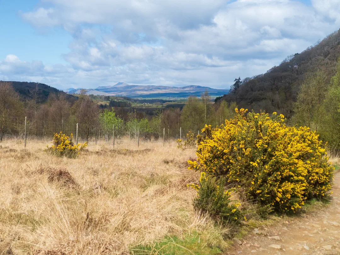 /img/ScotLand_WestHighLandWay_day1/ScottLand-35.png
