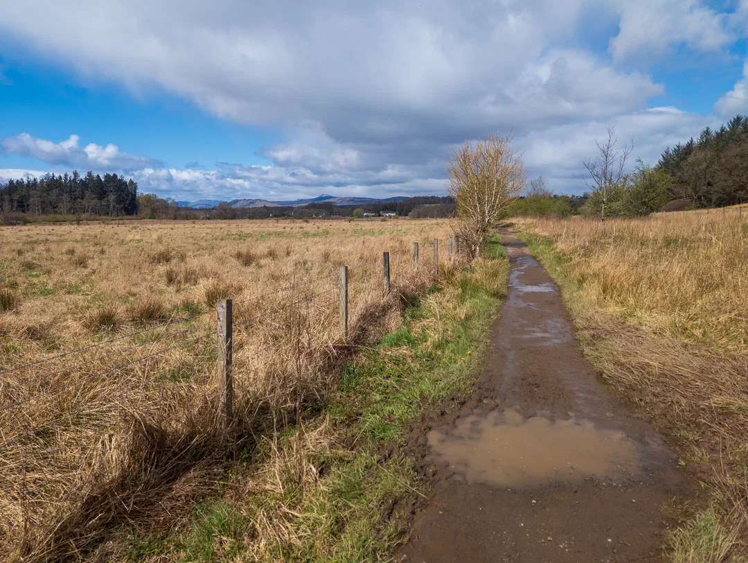 /img/ScotLand_WestHighLandWay_day1/ScottLand-39.png
