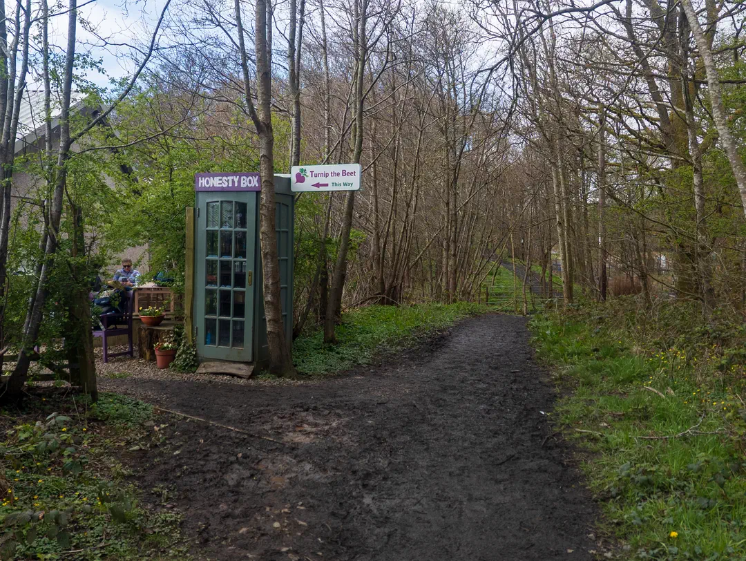 /img/ScotLand_WestHighLandWay_day1/ScottLand-41.png