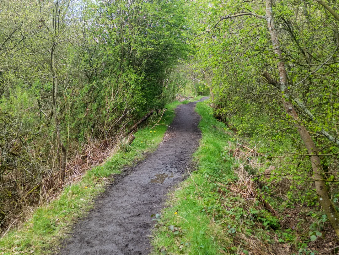 /img/ScotLand_WestHighLandWay_day1/ScottLand-43.png