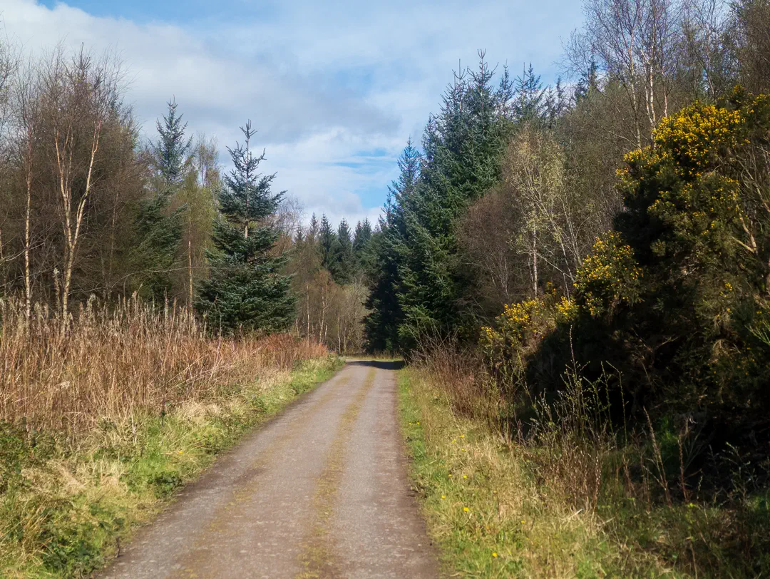 /img/ScotLand_WestHighLandWay_day2/ScottLand-55.png
