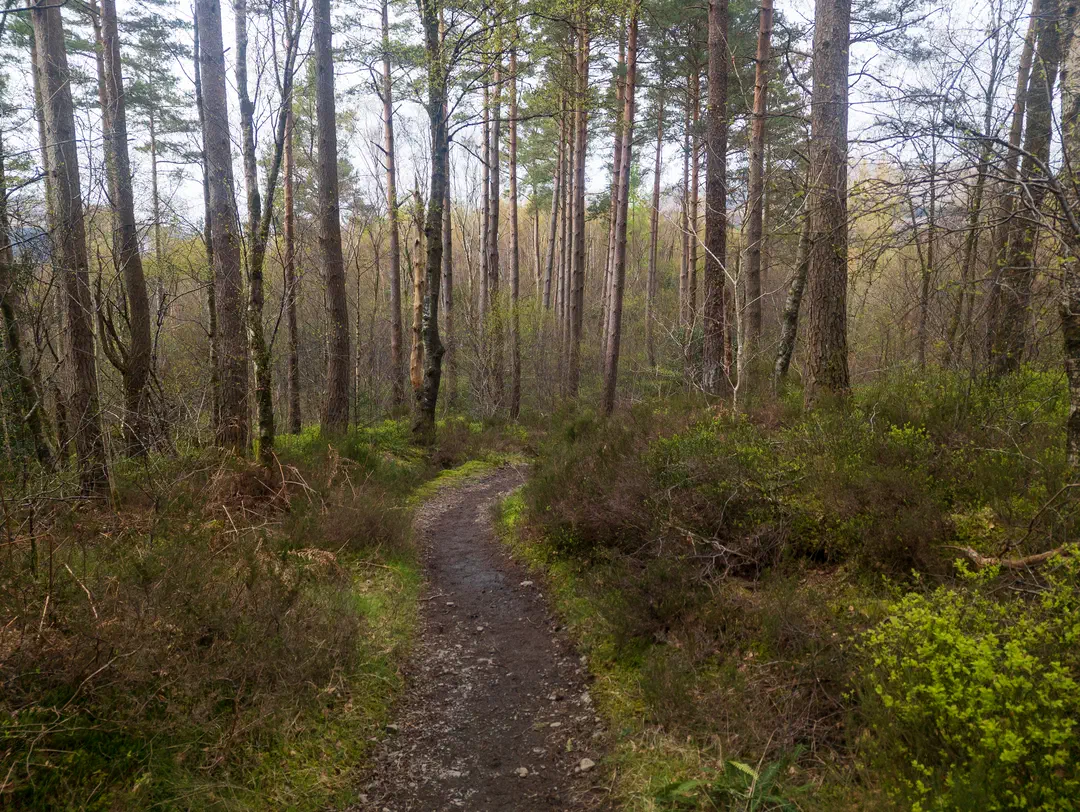 /img/ScotLand_WestHighLandWay_day2/ScottLand-71.png