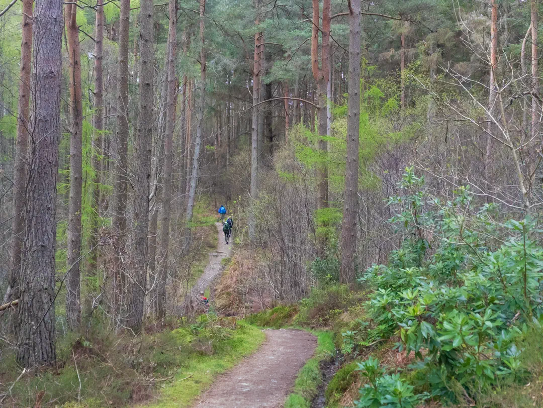 /img/ScotLand_WestHighLandWay_day2/ScottLand-73.png