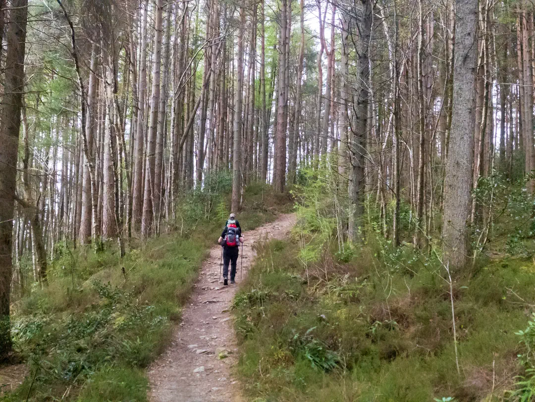 /img/ScotLand_WestHighLandWay_day2/ScottLand-74.png