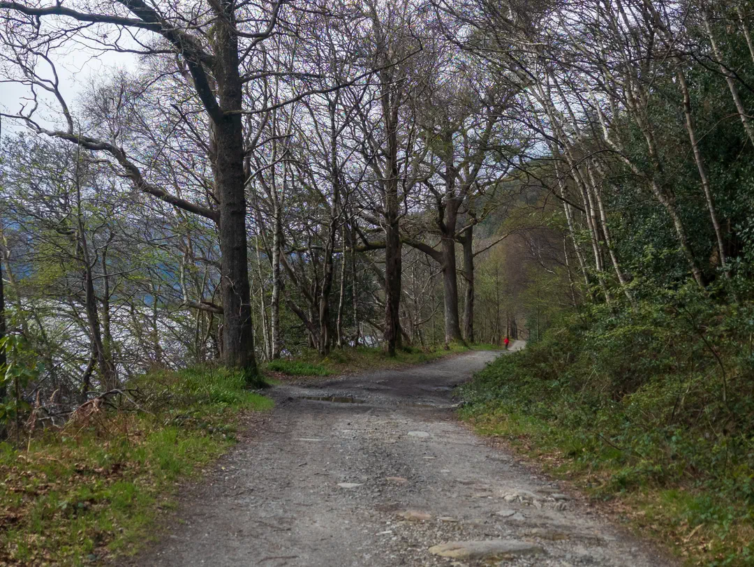 /img/ScotLand_WestHighLandWay_day2/ScottLand-81.png