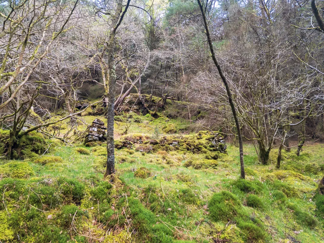 /img/ScotLand_WestHighLandWay_day3/ScottLand-184.png