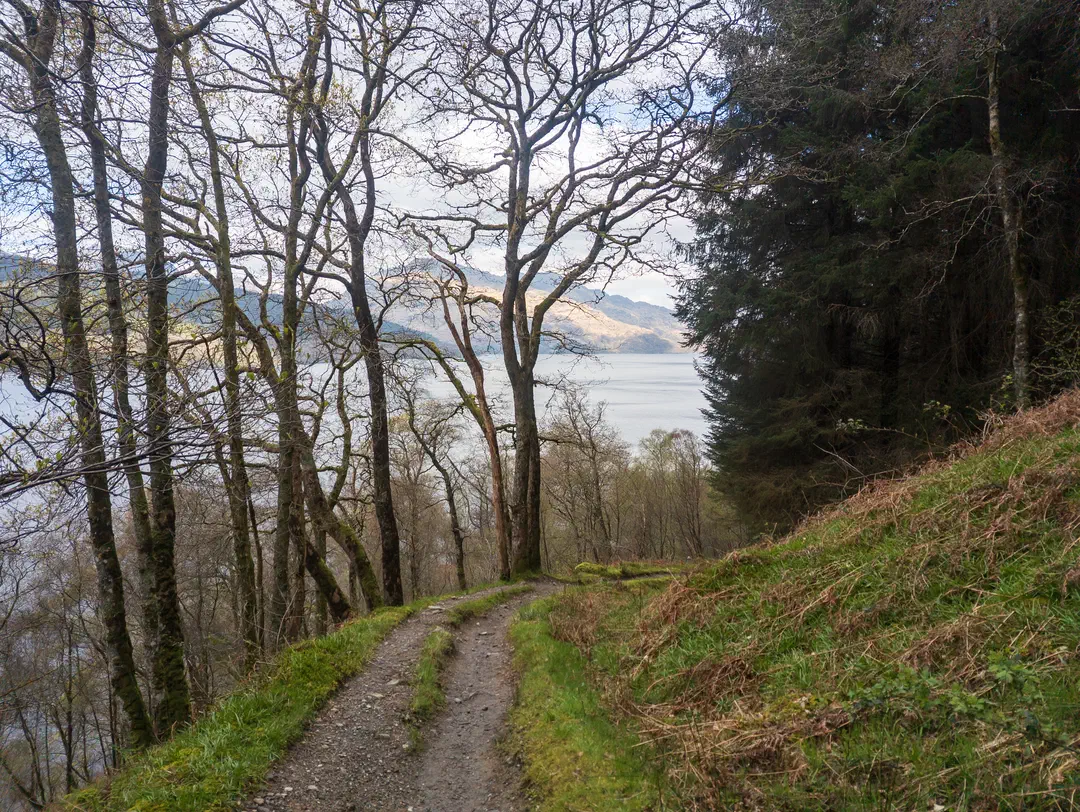 /img/ScotLand_WestHighLandWay_day3/ScottLand-186.png