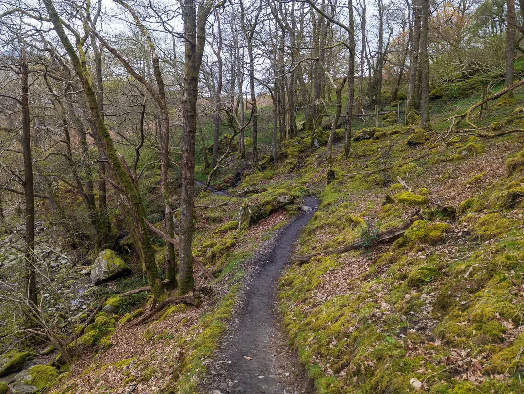 /img/ScotLand_WestHighLandWay_day3/ScottLand-188.png