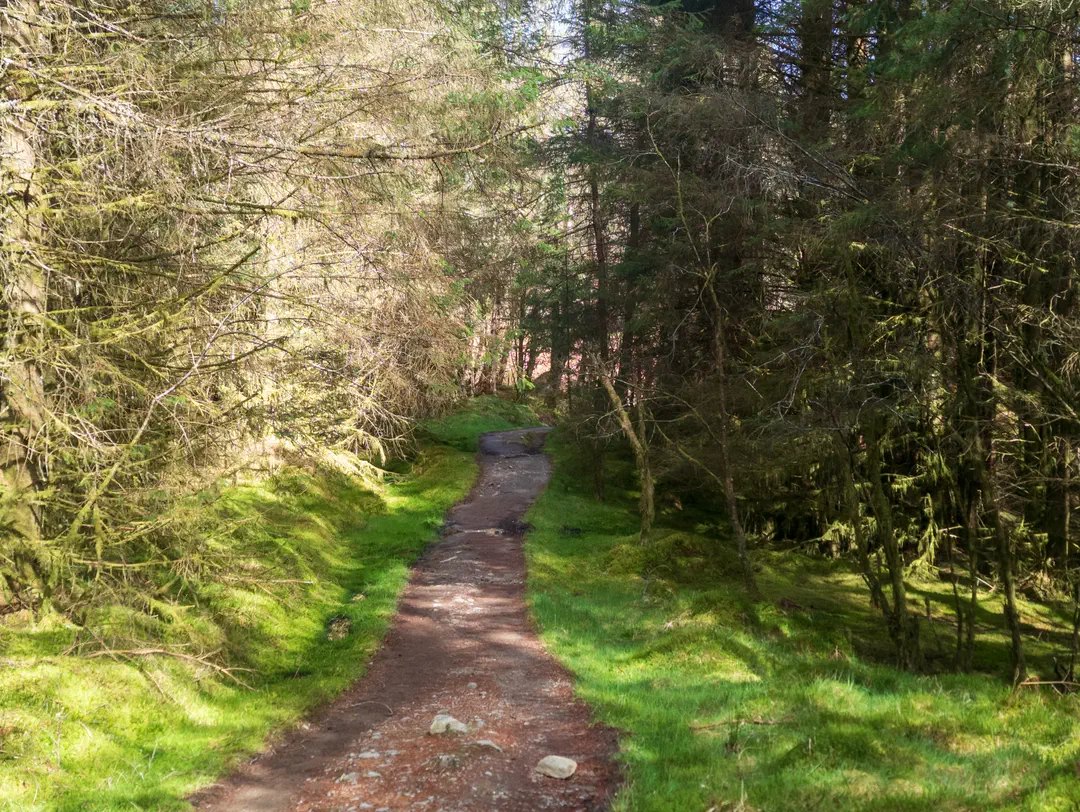 /img/ScotLand_WestHighLandWay_day4/ScottLand-110.png