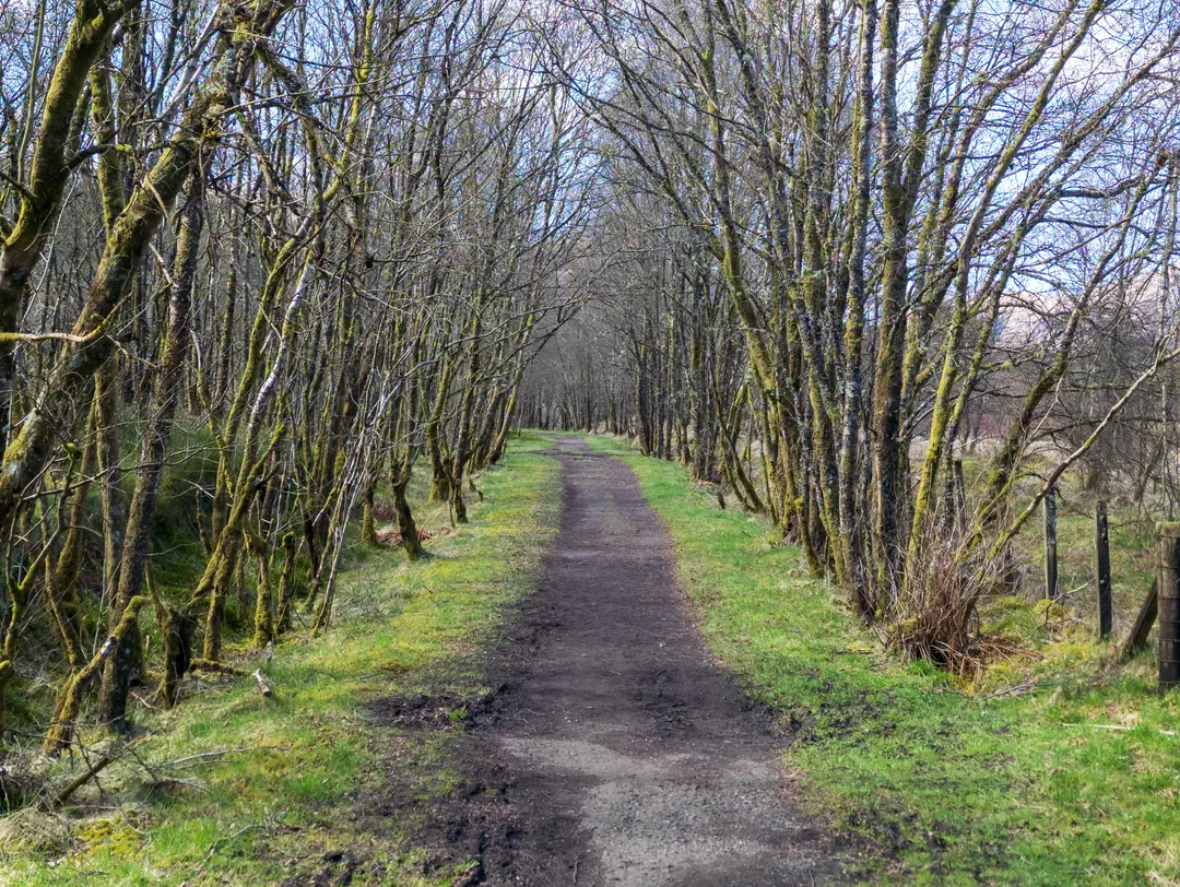 /img/ScotLand_WestHighLandWay_day4/ScottLand-116.png