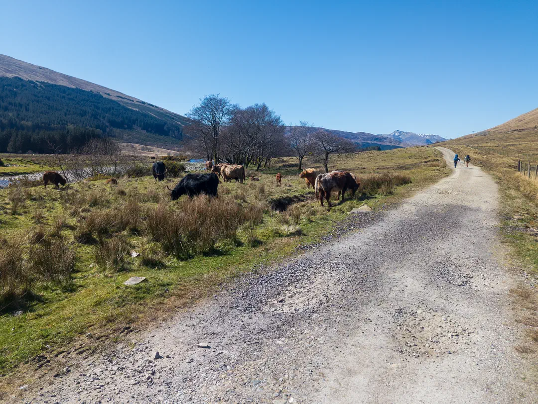 /img/ScotLand_WestHighLandWay_day4/ScottLand-124.png