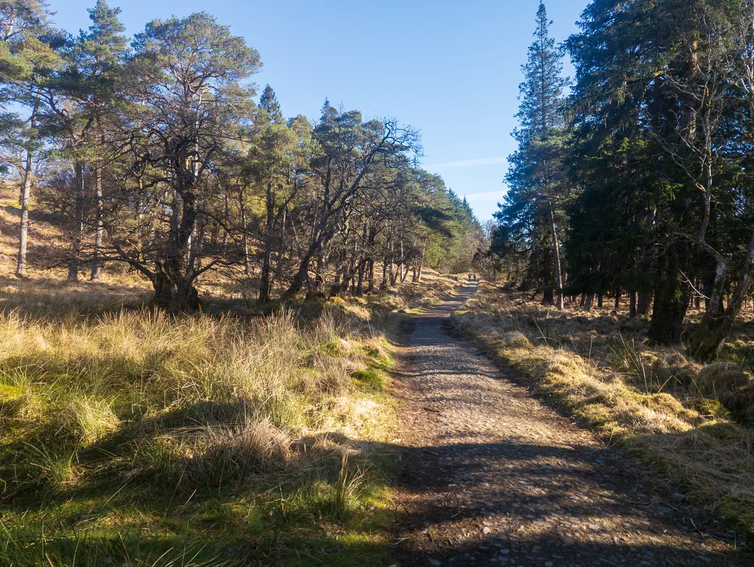 /img/ScotLand_WestHighLandWay_day5/ScottLand-138.png