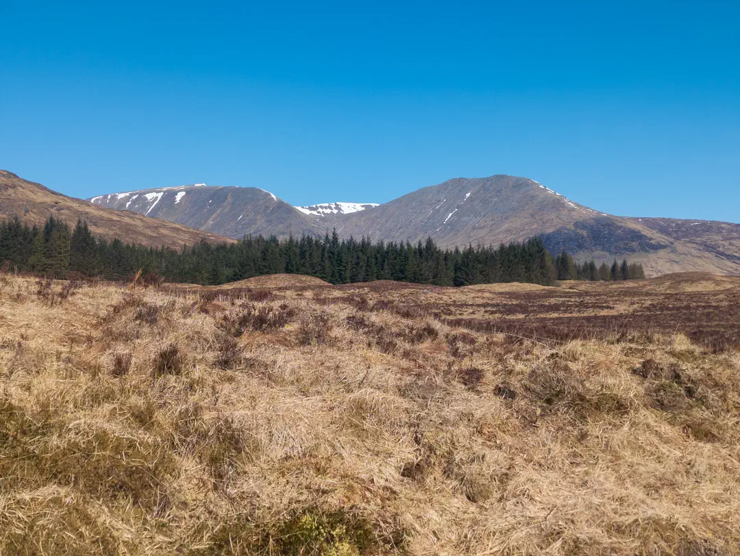 /img/ScotLand_WestHighLandWay_day5/ScottLand-140.png