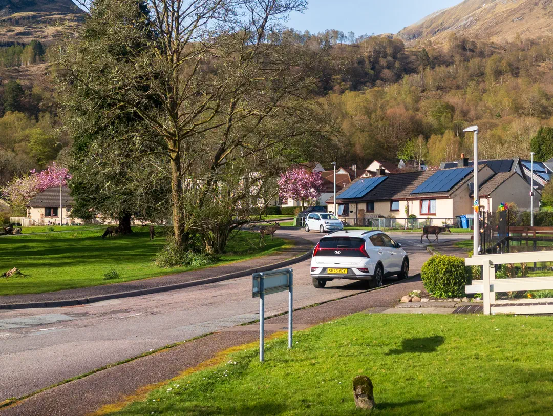 /img/ScotLand_WestHighLandWay_day5/ScottLand-159.png
