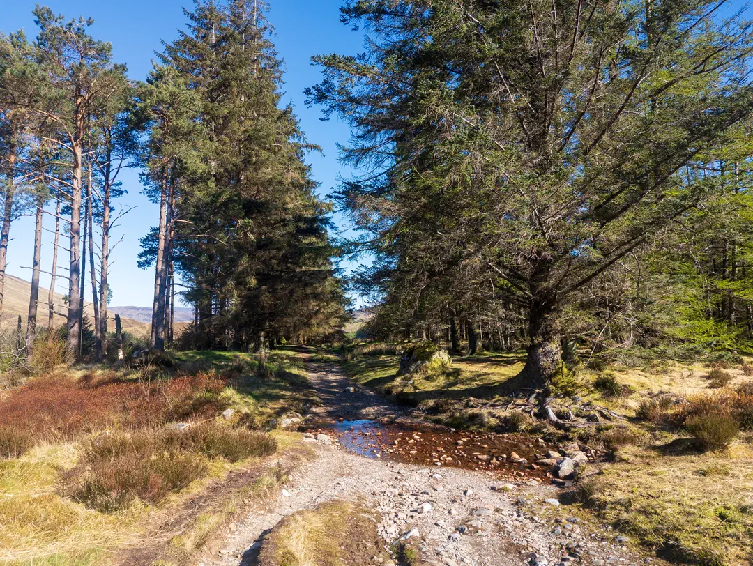 /img/ScotLand_WestHighLandWay_day6/ScottLand-175.png