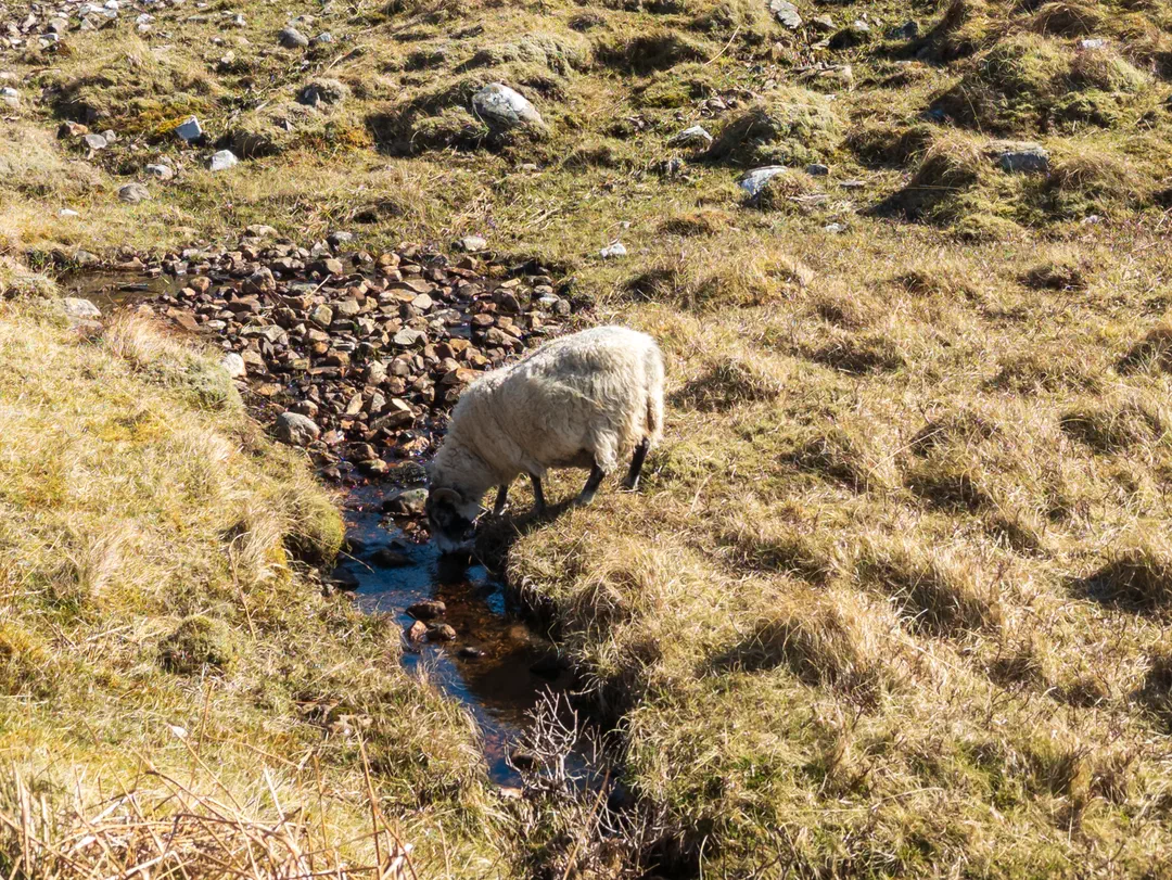 /img/ScotLand_WestHighLandWay_day6/ScottLand-176.png