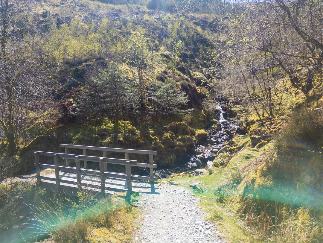 /img/ScotLand_WestHighLandWay_day6/ScottLand-181.png